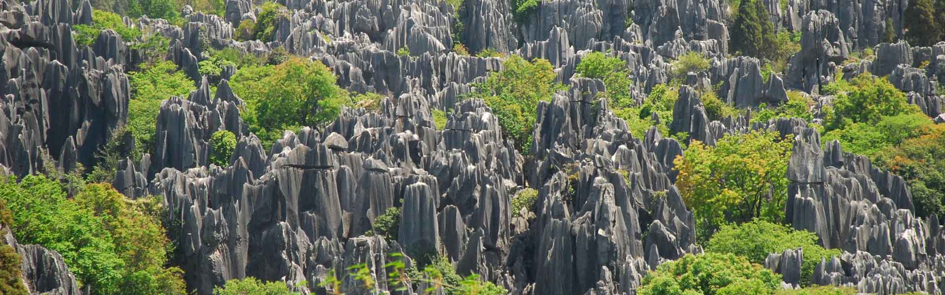 Les formations karstiques dans la forêt de pierre, Voyage Yunnan