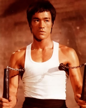 Bruce Lee, Les Arts Martiaux Chinois